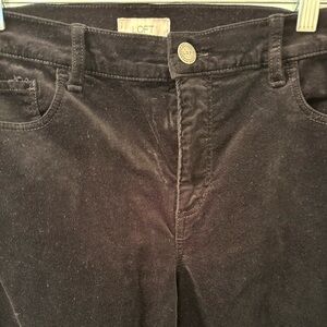 Loft Outlet Velvet Jeans. Size 12